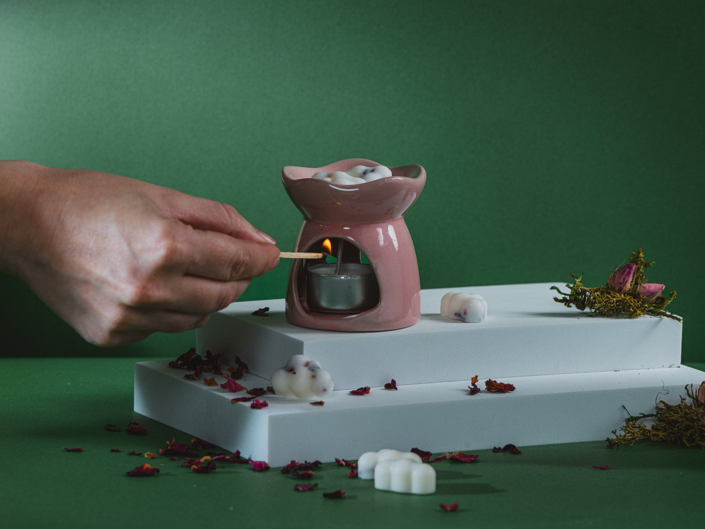 Conoce nuestros Waxmelt